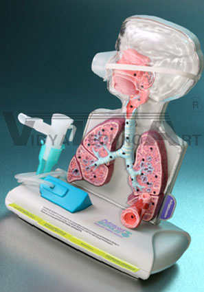 Pediatric Asthma Model with Nebulizer